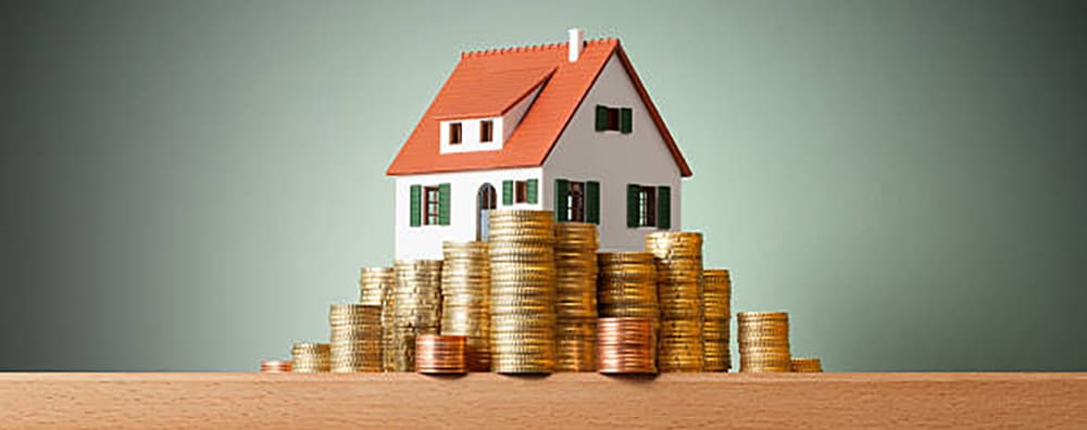 Development & Bridging Finance
